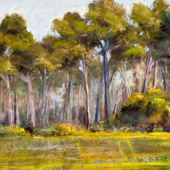 Painting titled "Les Pins de Provence" by Martine Tulet, Original Artwork, Pastel