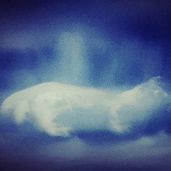 Fotografie mit dem Titel "Cloud Dog" von Martin Vallis, Original-Kunstwerk, Digitale Fotografie