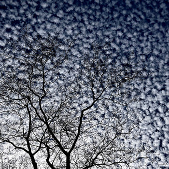 Photographie intitulée "Daydream in Blue" par Martin Vallis, Œuvre d'art originale, Photographie numérique