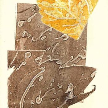 "Cachemir" başlıklı Yerleştirme  Mª Antonia Sanchez tarafından, Orijinal sanat