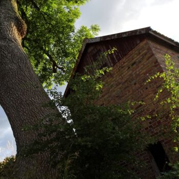 Photographie intitulée "Leaning Strongly" par Mary Joan Attard, Œuvre d'art originale, Autre