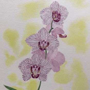 Malarstwo zatytułowany „Orchidées” autorstwa Mary-Eve Ignatowicz, Oryginalna praca, Akwarela