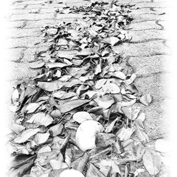 Fotografía titulada "Traine de feuilles" por Maryle, Obra de arte original