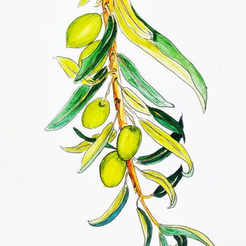 Painting titled "Olive branch" by Maryna Pohorielko, Original Artwork, Watercolor
