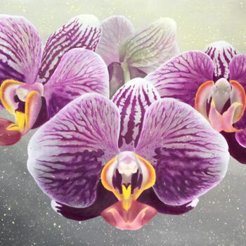Картина под названием "Orchidea" - Maryna Sakalouskaya, Подлинное произведение искусства, Масло