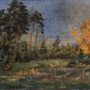 Painting titled "Marshy land" by Maryna Weber, Original Artwork, Oil