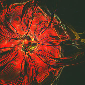 Цифровое искусство под названием "Red poppy.jpg" - Mary Raven, Подлинное произведение искусства, 3D моделирование