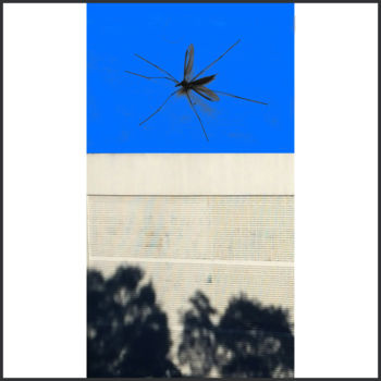 Estampas & grabados titulada "collage_06.jpg" por Matheus Gorovitz, Obra de arte original