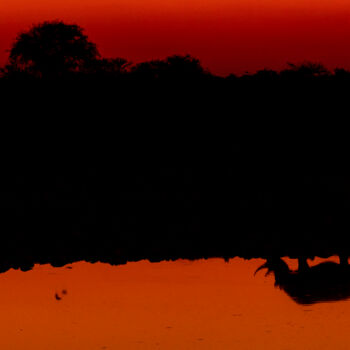 Φωτογραφία με τίτλο "Reflet de Rhino" από Mathieu Pujol, Αυθεντικά έργα τέχνης, Ψηφιακή φωτογραφία Τοποθετήθηκε στο Αλουμίνιο