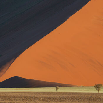 Fotografía titulada "La ligne et les arb…" por Mathieu Pujol, Obra de arte original, Fotografía digital Montado en Cartulina