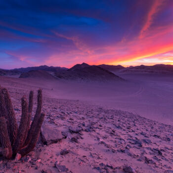 Photographie intitulée "Glow du désert" par Mathieu Pujol, Œuvre d'art originale, Photographie numérique Monté sur Autre pan…
