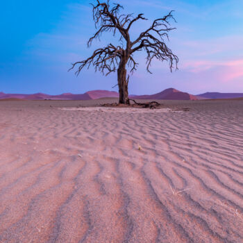 Fotografia intitulada "Solitude du désert" por Mathieu Pujol, Obras de arte originais, Fotografia digital Montado em Alumínio