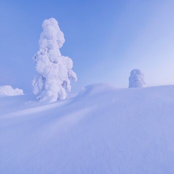 Photography titled "Sculpture de neige" by Mathieu Pujol, Original Artwork, Digital Photography Mounted on Aluminium