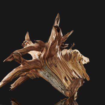 Скульптура под названием "Wood sculpture" - Matt Christine, Подлинное произведение искусства, Дерево