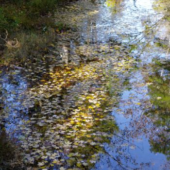 Photography titled "seasons reflection" by Matthew Katt, Original Artwork