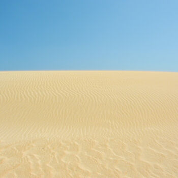 Fotografia zatytułowany „Nature - Dune” autorstwa Matthieu Lê, Oryginalna praca, Fotografia cyfrowa