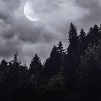 Photography titled "Nightmares" by Mattysia Navarette, Original Artwork, Digital Photography