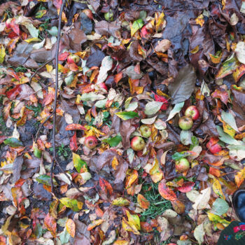 Фотография под названием "Autumn Ground" - Matyas, Подлинное произведение искусства, Цифровая фотография