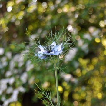 Petit Bateau En Papier Photography By L 039 Ecureuil Chapardeur Artmajeur