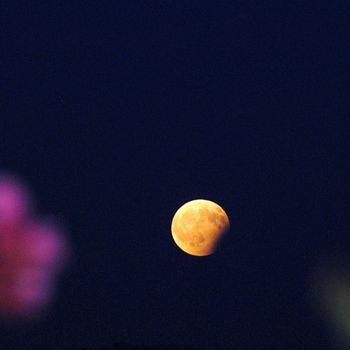 Photography titled "eclipse" by Martine Maury, Original Artwork, Non Manipulated Photography