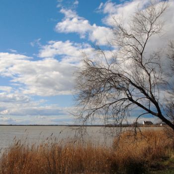 Photography titled "paysage général" by Martine Maury, Original Artwork, Non Manipulated Photography