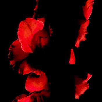 Photographie intitulée "Red Flowers - Photo…" par Maxime Guengant, Œuvre d'art originale, Photographie numérique