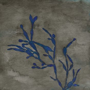 제목이 "algue Carpopeltis A…"인 미술작품 Maxime Tauban로, 원작, 수채화