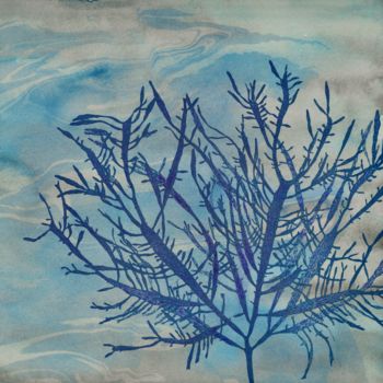 Peinture intitulée "algue Prionitis Pat…" par Maxime Tauban, Œuvre d'art originale, Aquarelle Monté sur Panneau de bois