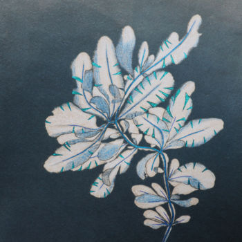 Pintura intitulada "cyanotype réhaussé…" por Maxime Tauban, Obras de arte originais, Aquarela