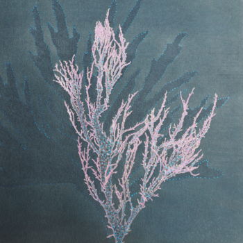 Pittura intitolato "algue Halymenia For…" da Maxime Tauban, Opera d'arte originale, Acquarello Montato su Pannello di legno
