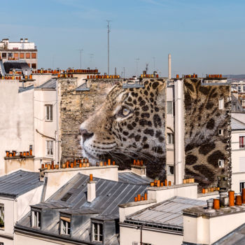 Photographie intitulée "Un léopard à Montma…" par Maxl, Œuvre d'art originale, Photographie manipulée