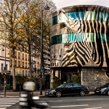 Photographie intitulée "Zebrasquare" par Maxl, Œuvre d'art originale, Photographie manipulée