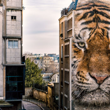 Fotografia zatytułowany „Un tigre en ville” autorstwa Maxl, Oryginalna praca, Manipulowana fotografia