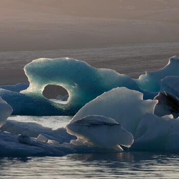 Photographie intitulée "Narval de glace" par Max Lévine, Œuvre d'art originale, Photographie numérique Monté sur Aluminium