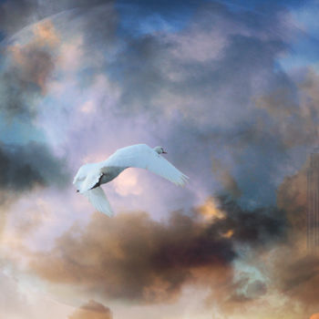 Digital Arts titled "L'Oiseau Blanc" by Max Parisot Du Lyaumont, Original Artwork, Photo Montage