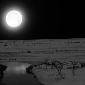 Arts numériques intitulée "Paysage noir et bla…" par Max Parisot Du Lyaumont, Œuvre d'art originale, Photo montage