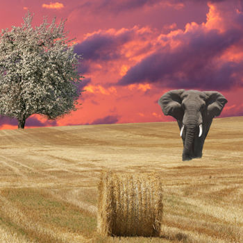 Digital Arts titled "Eléphant dans un ch…" by Max Parisot Du Lyaumont, Original Artwork, Photo Montage
