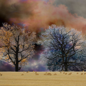Arte digital titulada "D'arbre à arbre" por Max Parisot Du Lyaumont, Obra de arte original, Foto-montaje