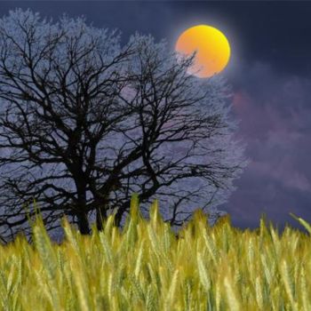 Digital Arts titled "Arbre sous le soleil" by Max Parisot Du Lyaumont, Original Artwork, Photo Montage