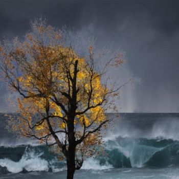 "Arbres" başlıklı Dijital Sanat Max Parisot Du Lyaumont tarafından, Orijinal sanat, Foto Montaj