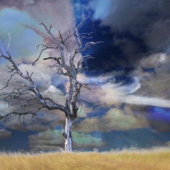 Digital Arts titled "Arbre mort dans un…" by Max Parisot Du Lyaumont, Original Artwork, Photo Montage