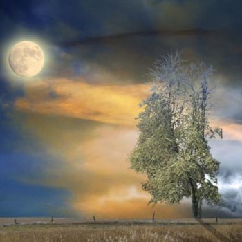 Arts numériques intitulée "Arbre sous un ciel…" par Max Parisot Du Lyaumont, Œuvre d'art originale, Photo montage