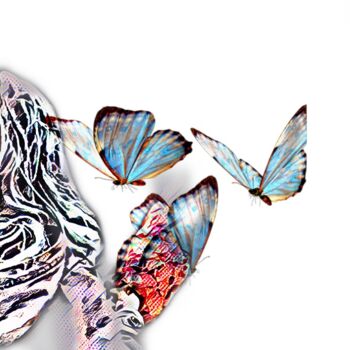 Photography titled "Papillons" by Patrick Maze, Original Artwork, Digital Photography