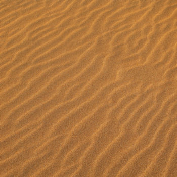 Photography titled "Sand Dune Ripples" by William Attard Mccarthy, Original Artwork, Digital Photography