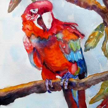 Painting titled "Parrot on a branch" by Agnes Mclaughlin, Original Artwork, Watercolor