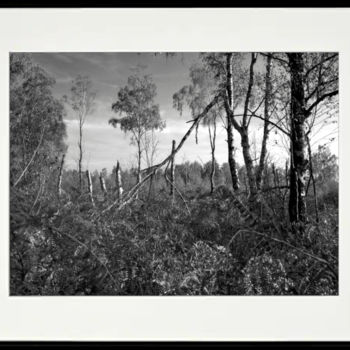 「Sun after the storm…」というタイトルの写真撮影 Marco Brugtsによって, オリジナルのアートワーク, デジタル