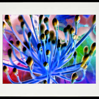 Цифровое искусство под названием "Promising Lily (fra…" - Marco Brugts, Подлинное произведение искусства, Цифровая живопись