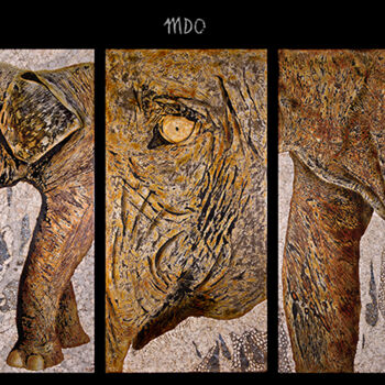 Fotografie getiteld "Elephant Triptych -…" door Marie-Dominique Boneu Hyman (MDO), Origineel Kunstwerk, Digitale fotografie