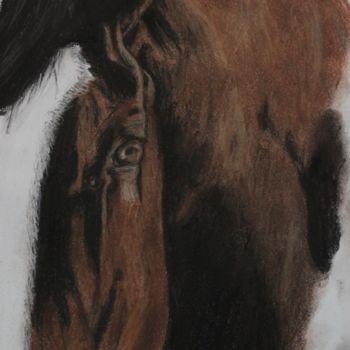 图画 标题为“Horse Head” 由Meaghan Metcalf, 原创艺术品, 其他