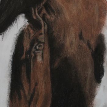 Drawing titled "Horse Head" by Meaghan Metcalf, Original Artwork, Other